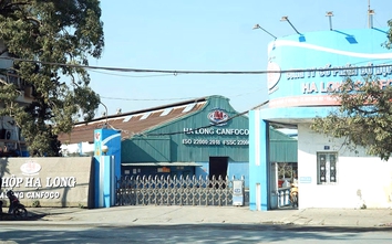 Bắt khẩn cấp Tổng giám đốc Công ty CP Đồ hộp Hạ Long cùng 3 thuộc cấp