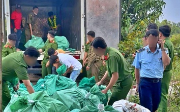 Phát hiện 4 tấn mỹ phẩm không hóa đơn, chứng từ ở Cà Mau