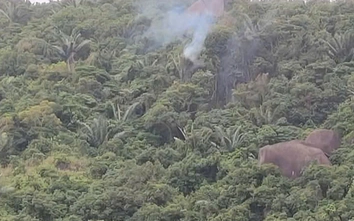 Bộ Quốc phòng thông tin về sự cố máy bay quân sự rơi tại Đắk Lắk