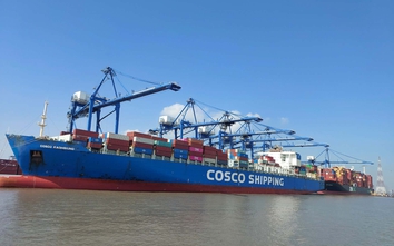 Kiểm soát, ngăn ngừa dịch bệnh do virus Nipah ngay từ cửa khẩu, cảng biển