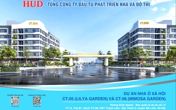 Mở bán nhà ở xã hội khu đô thị mới Thanh Lâm - Đại Thịnh 2 vào tháng 3/2026