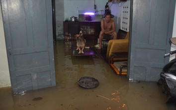 Triều cường sông Đồng Nai lập đỉnh cao nhất từ năm 1975, nhiều nơi ngập sâu