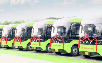 Bổ sung 16 tuyến xe buýt kết nối sân bay Long Thành với TP.HCM và nhiều địa phương