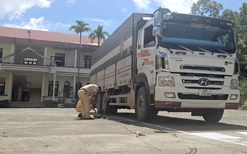 CSGT Đắk Lắk tạm giữ xe chở 20 tấn đá không rõ nguồn gốc, quá tải gần 90%