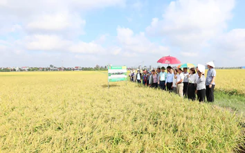 Xã 2.500ha ở Hưng Yên hướng tới đạt chuẩn nông thôn mới hiện đại trước năm 2035