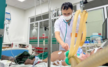 Nhiều ca sốc nhiễm khuẩn, suy đa tạng do nhiễm liên cầu lợn