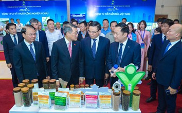 PVFCCo - Phú Mỹ lần thứ 7 liên tiếp đạt Thương hiệu quốc gia Việt Nam