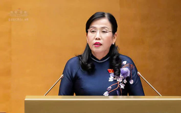 Không chuyển toàn bộ rủi ro đầu tư, kinh doanh sang Nhà nước hoặc người sử dụng điện