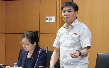 Đại biểu băn khoăn quy định tài xế xe công nghệ, bán hàng online tham gia BHXH bắt buộc