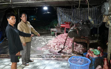 Triệt phá đường dây tiêu thụ khoảng 400 tấn heo bệnh, thu lợi hơn 10 tỷ đồng