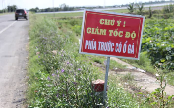 Đồng Tháp: Khởi công dự án sửa chữa tuyến tránh Hồng Ngự, trên quốc lộ 30