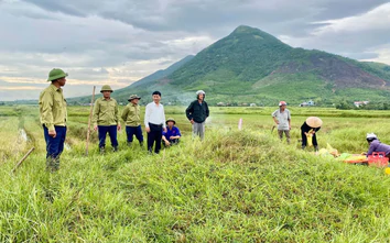 Hà Tĩnh: Đẩy mạnh quy tập, di dời mồ mả, tạo quỹ đất phát triển hạ tầng, giao thông đô thị