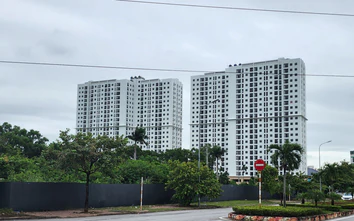 Ninh Bình: Giải ngân 494 tỷ đồng vốn đầu tư công, đẩy mạnh phát triển nhà ở xã hội