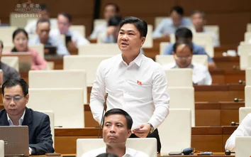 Nhiều đại biểu tán thành chính sách khoan hồng đối với người tự nguyện nhận tội