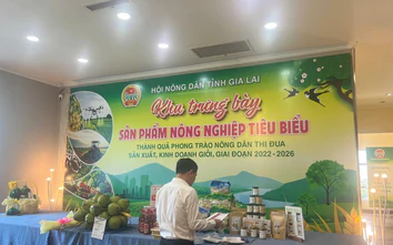 Gia Lai nâng cao hiệu quả hoạt động của hợp tác xã, kinh tế tập thể trong nông nghiệp
