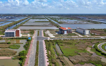 Cà Mau đề xuất tiếp tục thẩm định 7 hồ sơ đầu tư tại Khu công nghệ cao tôm Bạc Liêu