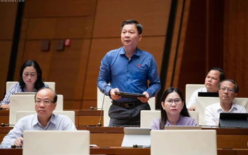 ĐBQH: Giá bồi thường khi thu hồi đất cần tiệm cận giá thực tế