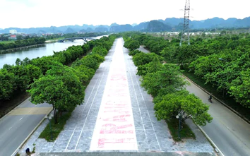 Ninh Bình: Ưu tiên hạ tầng giao thông chiến lược, mở rộng không gian phát triển