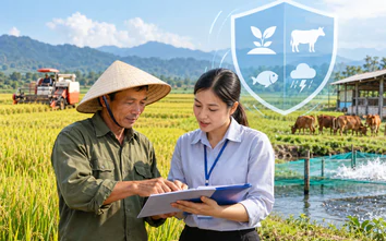 Địa phương chủ động cân đối nguồn hỗ trợ bảo hiểm nông nghiệp