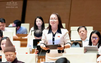 ĐBQH: Không thể để quy hoạch kéo dài vô thời hạn khiến dân bị hạn chế quyền sử dụng đất