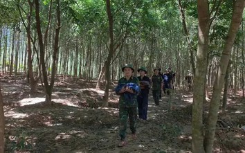 Tìm thấy 13 hài cốt liệt sĩ cùng nhiều di vật trong rừng tràm ở Quảng Trị