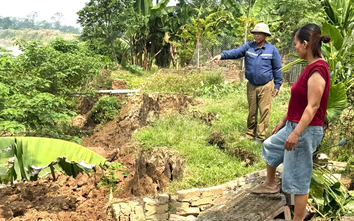 Phú Thọ: Sạt lở bờ sông Hồng ở xã Liên Minh, đe dọa đất ở của người dân