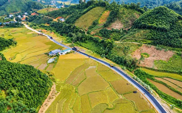 Lào Cai: Tăng tốc thi công tỉnh lộ 160, phấn đấu thảm nhựa trước Tết