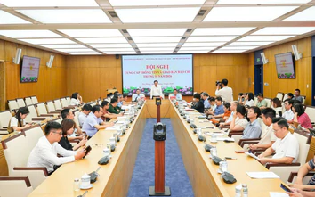 Hải Phòng: Ưu tiên sử dụng nhà, đất công sau thu hồi cho y tế, giáo dục, văn hóa