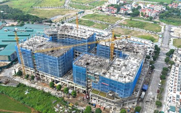 Vật liệu phát thải thấp: Chìa khóa giảm các-bon trong nhà ở xã hội