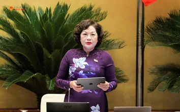 Phó Chủ tịch Quốc hội Nguyễn Thị Hồng: Làm rõ các kịch bản đảm bảo tăng trưởng