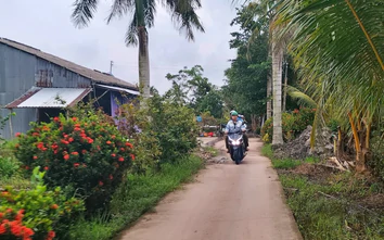 Cà Mau: Huy động xã hội hóa 1.421 tỷ đồng xây cầu, đường giao thông nông thôn