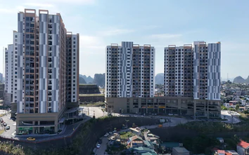 Quảng Ninh: Cụ thể hóa Nghị quyết 201, mở rộng cơ hội an cư cho người lao động