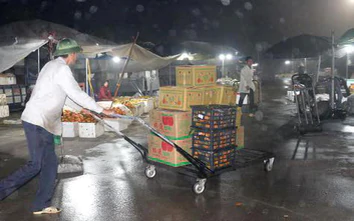 Phú Thọ: Khởi tố người phụ nữ chuyển khoản sai để chiếm đoạt hơn 1,2 tỷ đồng