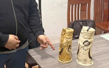 Hà Nội: Bắt giữ tài xế giấu tượng ngà voi trên ô tô