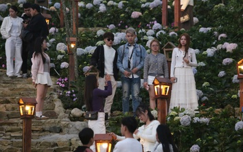 Tam Đảo hút khách ngày đầu năm mới Bính Ngọ 2026