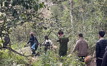 Xuyên đêm tìm kiếm 4 du khách lạc trong rừng nguyên sinh Tây Yên Tử
