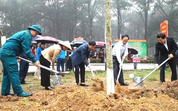 Hà Nội: 126 xã, phường phát động "Tết trồng cây"