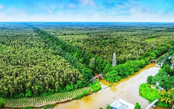 Cần Thơ kiện toàn quản lý khu du lịch Lung Ngọc Hoàng