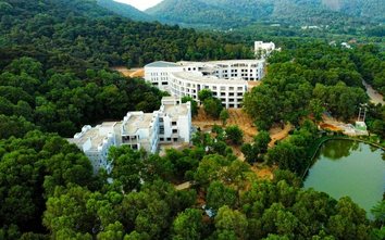 Trả phí cho đội quần chúng bảo vệ rừng