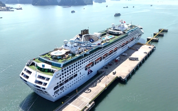 Vịnh Hạ Long đón loạt tàu biển hạng sang dịp Tết Nguyên đán 2026