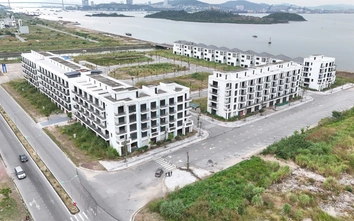 Quảng Ninh: Rà soát toàn diện dự án đô thị ở Cao Xanh, quyết tháo gỡ điểm nghẽn pháp lý