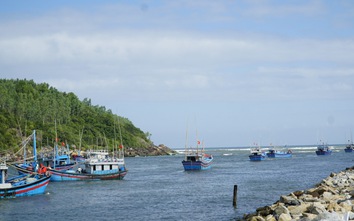 Nghẹt thở cứu nạn 5 thuyền viên trên tàu cá ở Gia Lai gặp sự cố trên biển