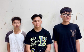 Bắt nhóm thanh, thiếu niên ở An Giang mang hung khí đập phá nhà dân