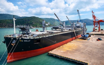 Cảng biển Quy Nhơn trước "cơ hội vàng" đón tàu lớn