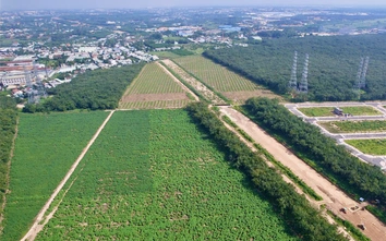 Đồng Nai xem xét hoàn thiện loạt cơ chế chính sách quan trọng về đầu tư, đất đai