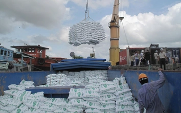 Xuất khẩu gạo tăng nhẹ, đối mặt áp lực giá và chi phí logistics