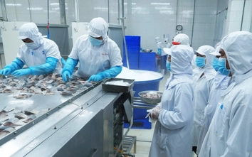 Nghịch lý lao động tại Cần Thơ: Nguồn cung không thiếu nhưng doanh nghiệp khó tuyển