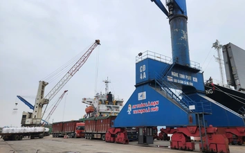 Nghệ An: Chủ động chuyển đổi xanh, doanh nghiệp giảm phụ thuộc nhiên liệu