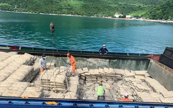 Tổng công ty VICEM đề xuất giảm thuế suất thuế xuất khẩu clinker về mức 0%