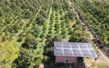 Ứng phó biến động xăng dầu (Kỳ 2): Chuyển đổi xanh, hướng tới phát triển bền vững